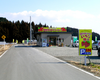5 ストロベリーパーク 小.jpg