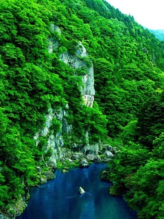 12 鬼怒楯岩大吊橋から楯岩見る.jpg
