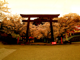 13.護国神社 小.jpg
