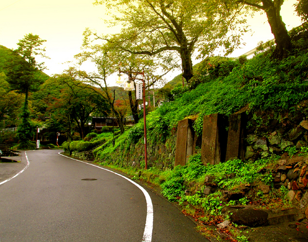 14滝見橋07花見坂s.jpg