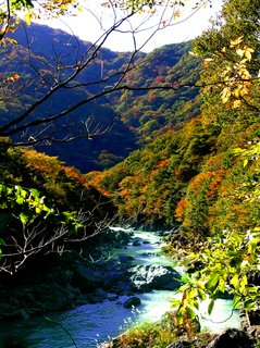 15 紫龍峡から白岩半島を望む s.jpg