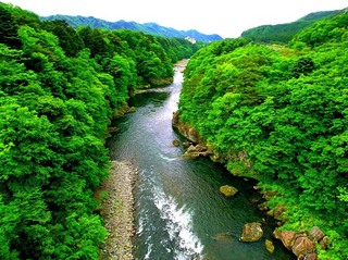 15 鬼怒楯岩大吊橋から日光方面見る.jpg