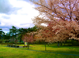 2.レジャー公園 小.jpg