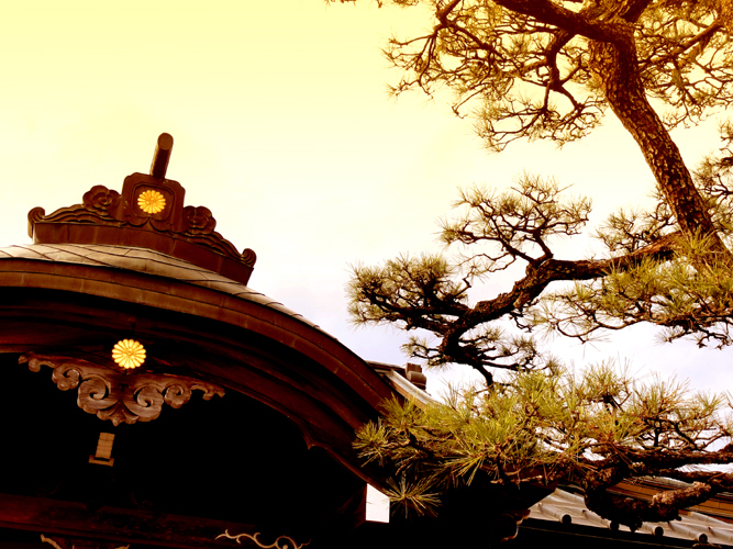 2.徳性院 本堂屋根s.jpg