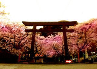 23.護国神社 小.jpg