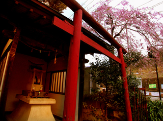 24.稲荷神社 小.jpg