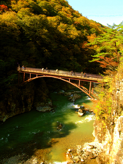 37 虹見橋 紅葉 s.jpg