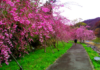 38.キャンプ場 小.jpg