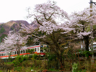 45.新藤原駅 小.jpg