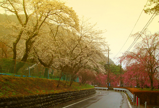 47.鬼怒川公園道路 小.jpg