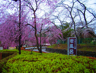 48.鬼怒川公園道路 小.jpg