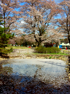 60.長峰公園 小.jpg