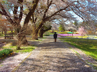 61.長峰公園 小.jpg