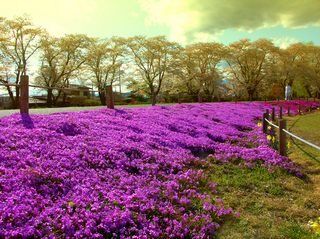 62.長峰公園 小.jpg