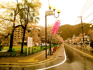 8.さくら通り 小.jpg