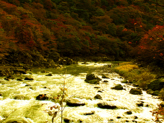 8 白岩半島 遠景2 s.jpg