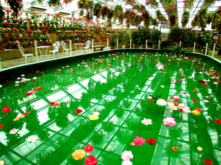 9.A棟池のフラワーアートs.jpg